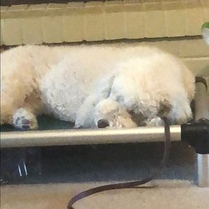 Meet your Posher, Tina